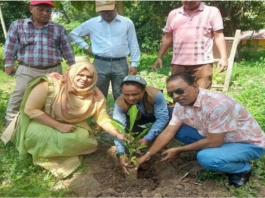 ১২৭টি প্রতিষ্ঠানে ৬৭ হাজার গাছের চারা বিতরণ