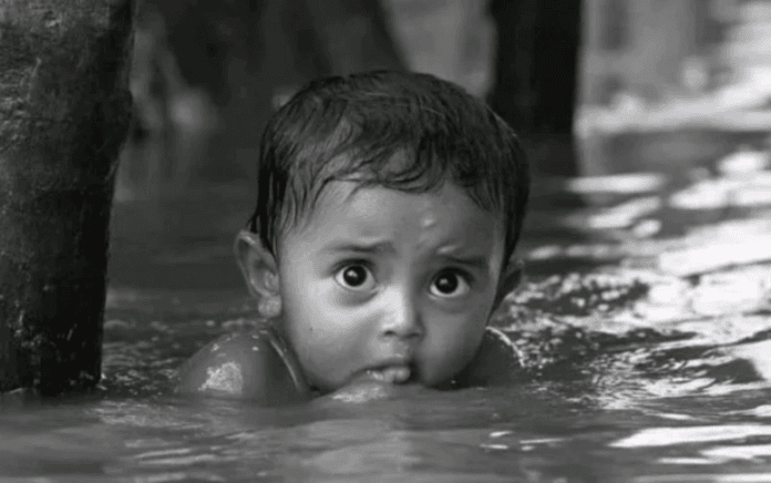 এআই মাধ্যমে তৈরি নাকি আসল ছবি, চিনবেন যেভাবে